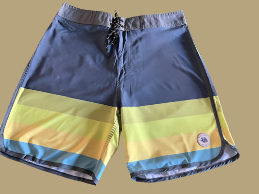 MEGA MISSLE BOARDSHORTS
